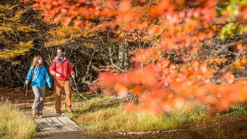 National Park Trails Full Day