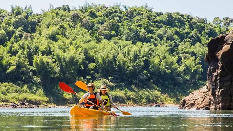 Jungle and Kayak Experience