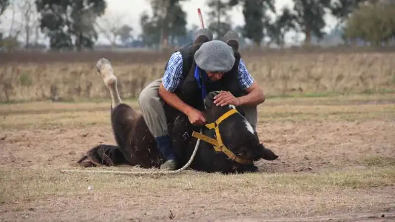 Estancia and countryside experience