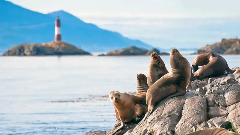 Beagle Channel Exclusive Sailing