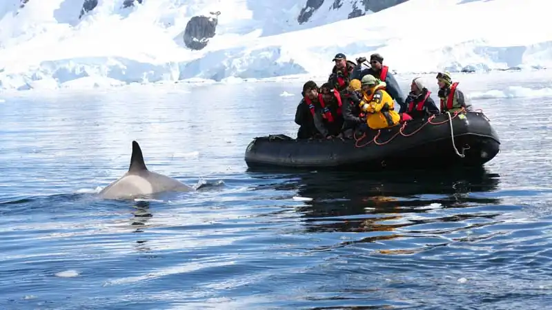 Antarctica Cruises