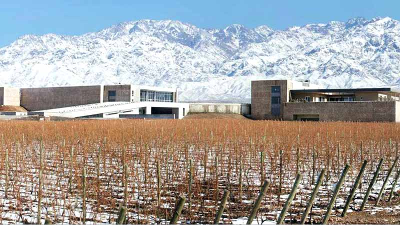 Mendoza – Bodega Diamandes (Winery)