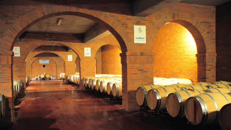 Mendoza – Winery