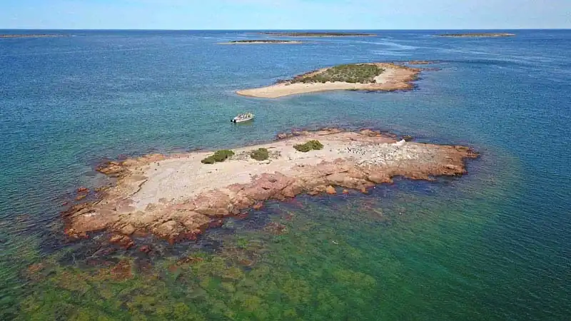 Bahia Bustamante