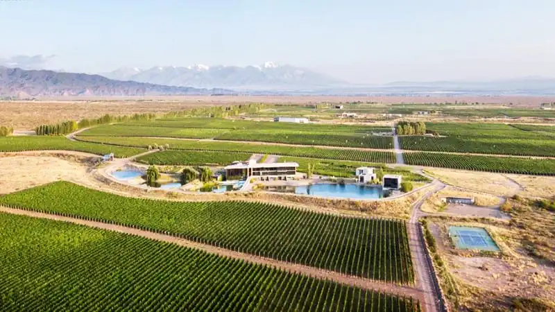 Luxury | Casa de Uco Vineyards & Wine Resort