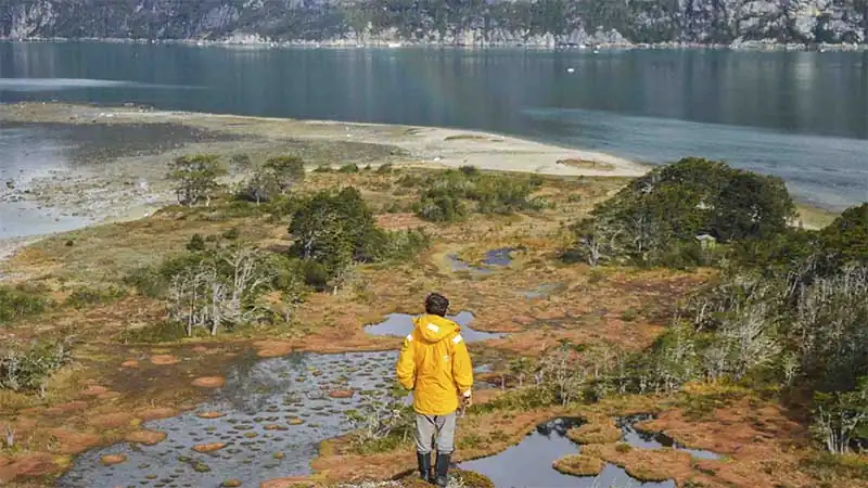 Glaciers and Fjords in Tierra del Fuego