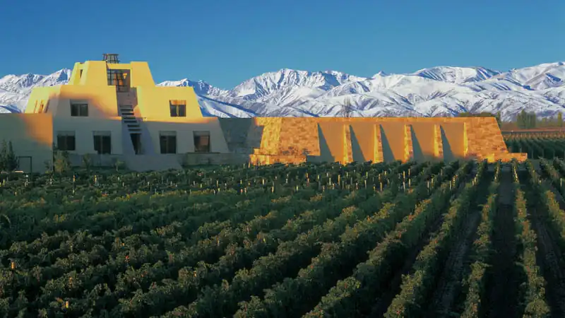 Mendoza and Uco Valley Wine Tour